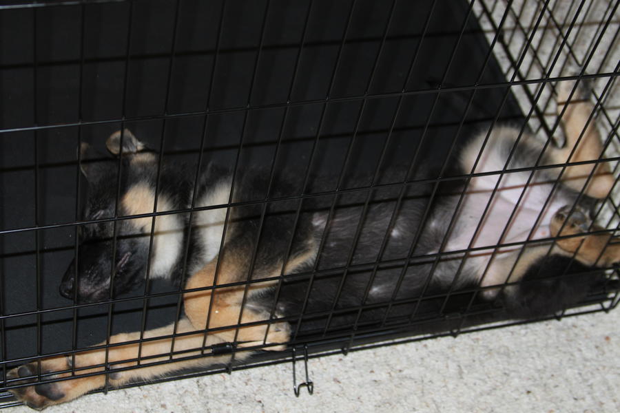 20120624018.JPG