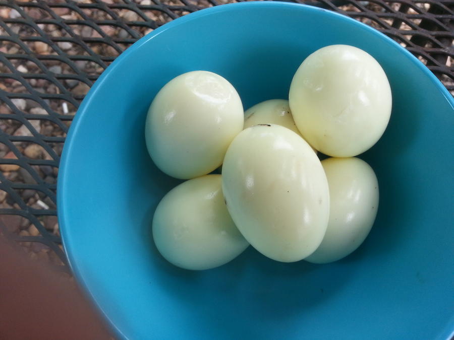 2013-06-02 14.23.25.jpg