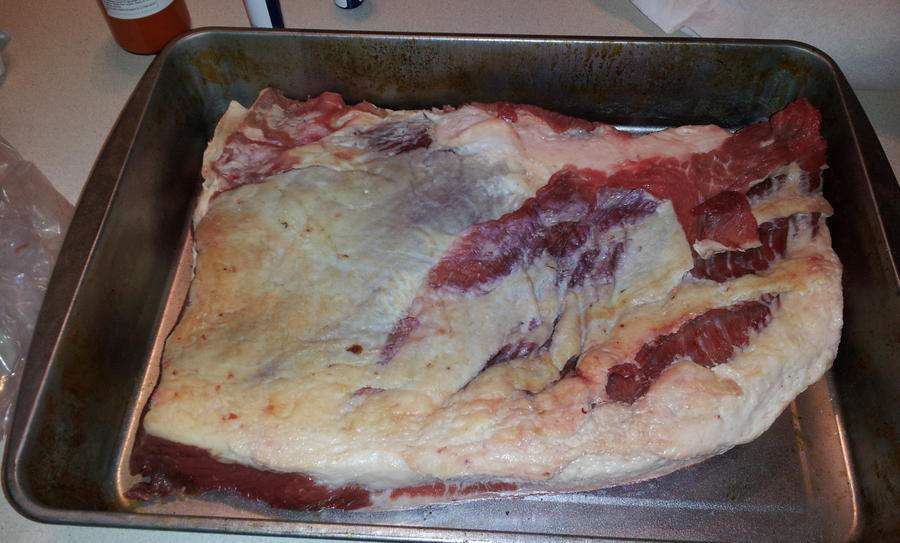 2013-06-22 06.31.27.jpg