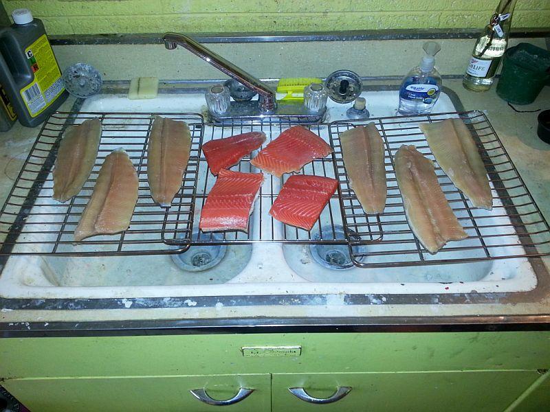 2013-11-25_smoked_trout_two_types_2.1.jpg