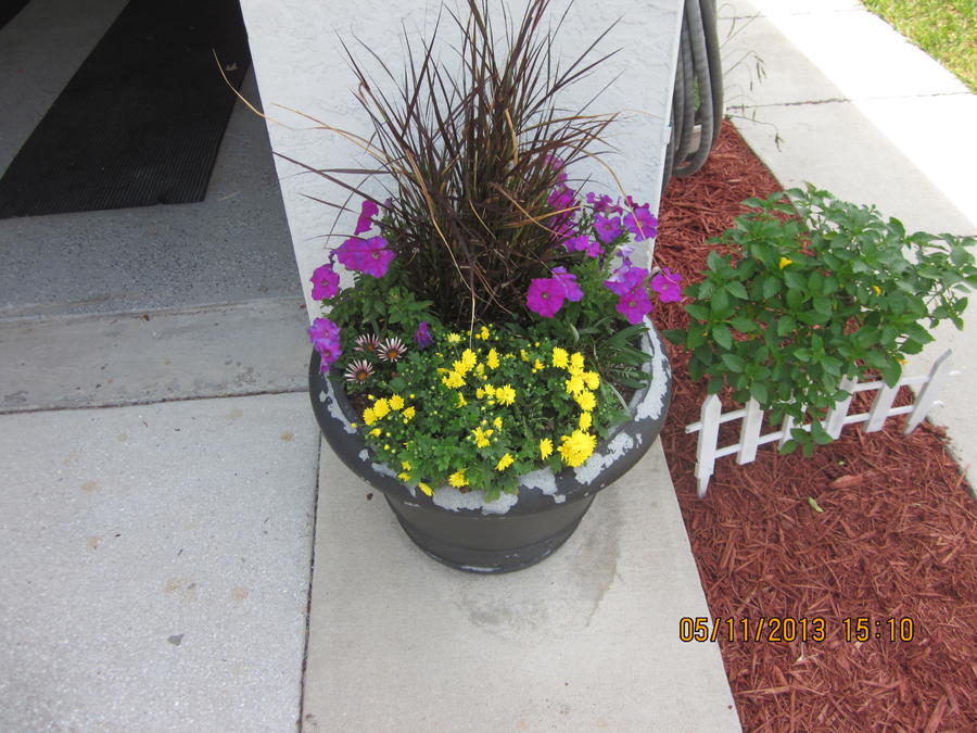 2013 Flower Gardens 010.JPG