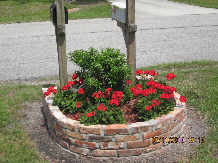 2013 Flower Gardens 012.JPG