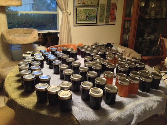 2013 Jam Yield.jpg