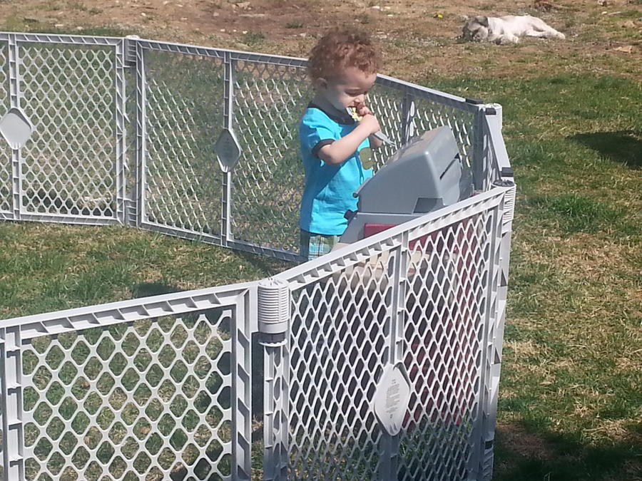20130410_104752.jpg