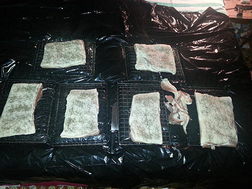 2014-04-27 11.23.48.jpg