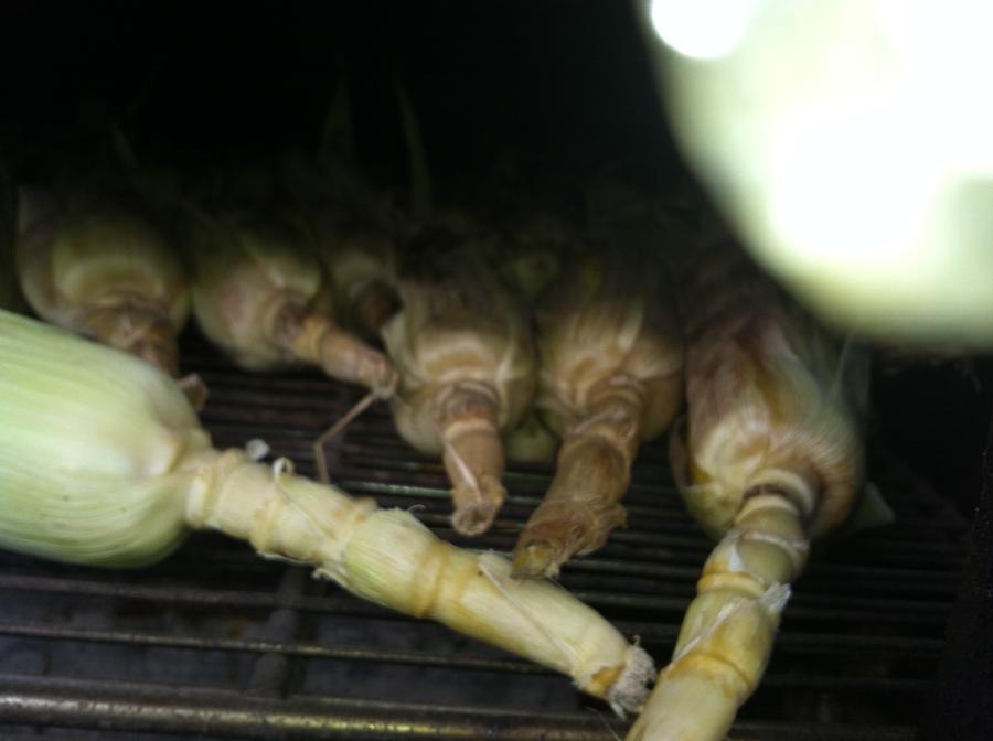 2014-05-31 14.05.01.jpg