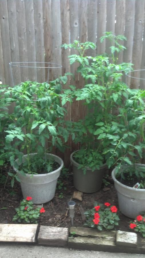 2014-06-26 14.28.13.jpg