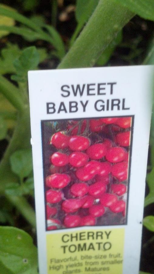 2014-06-26 14.29.29.jpg