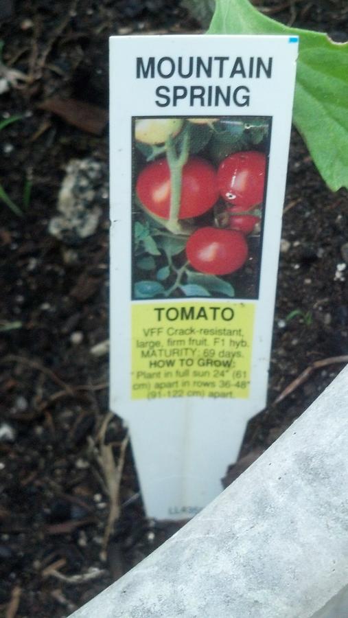 2014-06-26 14.29.37.jpg