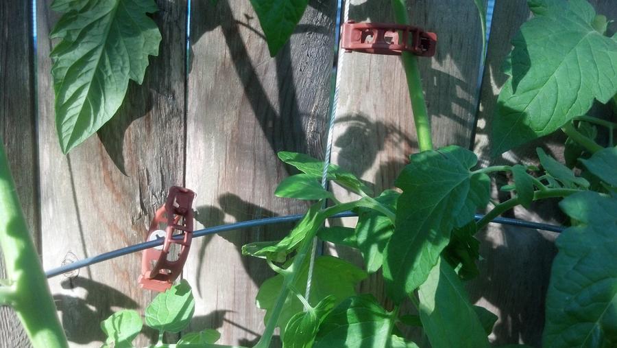 2014-06-30 17.45.36.jpg