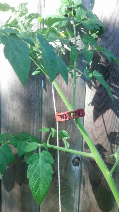 2014-06-30 17.45.46.jpg