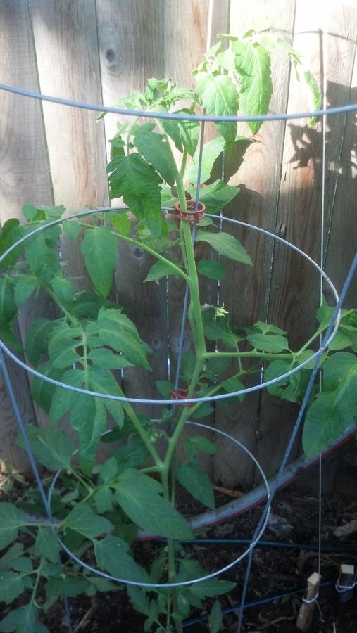 2014-06-30 17.45.53.jpg