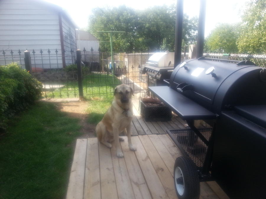 2014-09-14 Obe & New Smoker.jpg