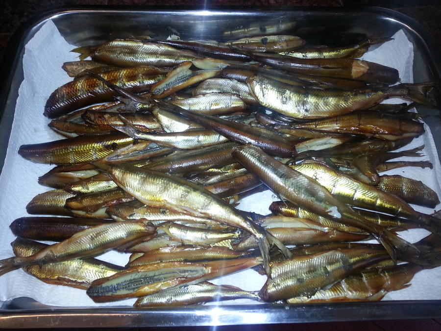 20140114_114803.jpg