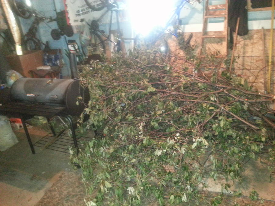 20140625_170039.jpg