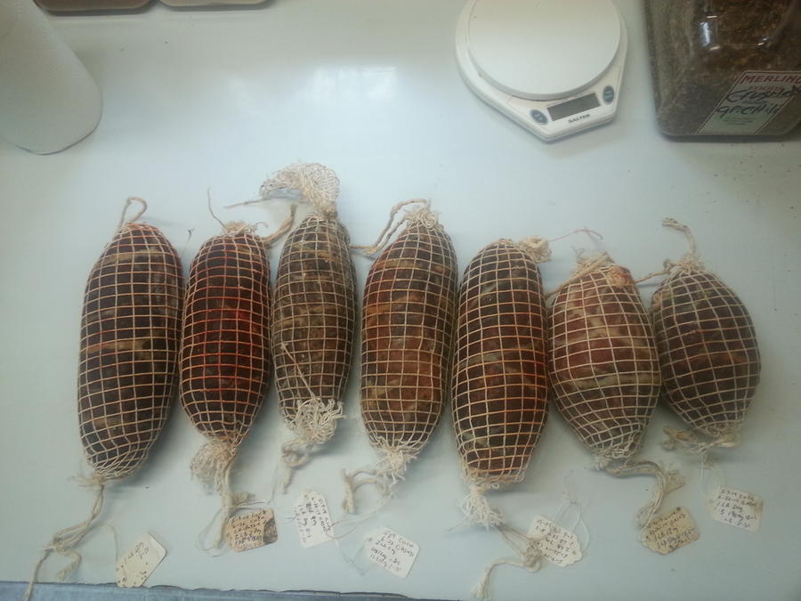 20140830_124231.jpg