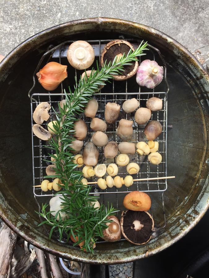 2015-01-31 13.25.48.jpg