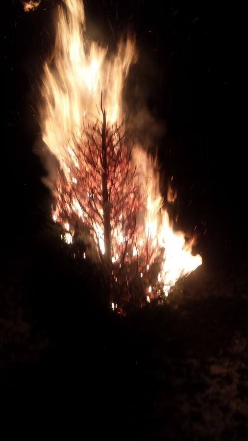 20150117_185740.jpg