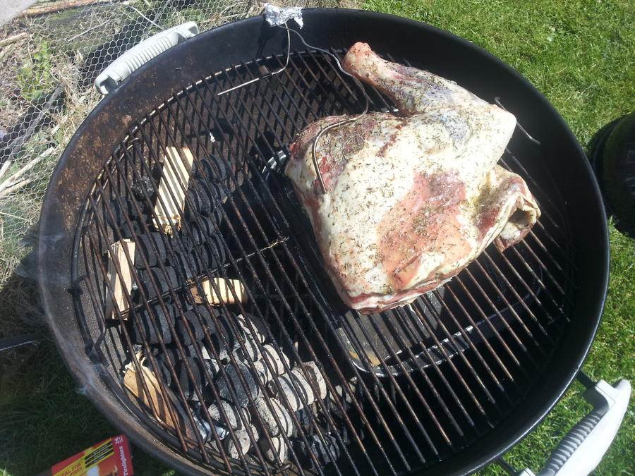 20150523_111034[1].jpg