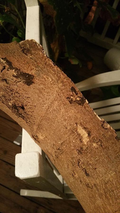 20150702_222254.jpg
