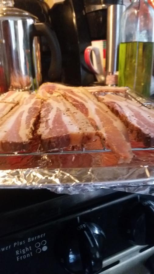 20150926_074224.jpg