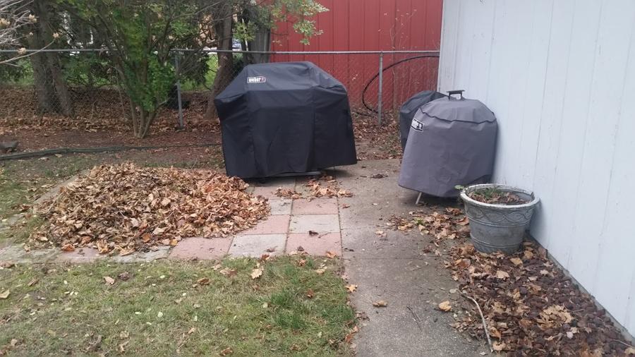20151210_164737.jpg