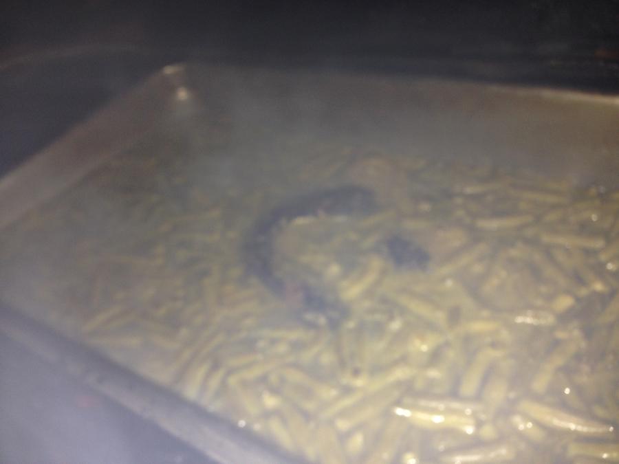 2016-04-06 05.20.56.jpg