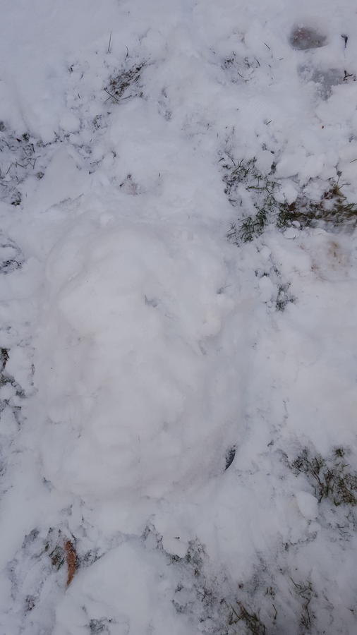 20160207_165416.jpg