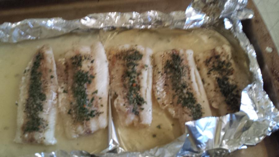 20160724_172332.jpg