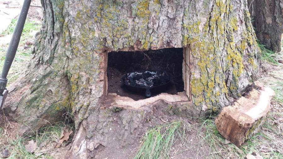 Tree Stump Smoker Smoking Meat Forums The Best Smoking Meat Forum On Earth