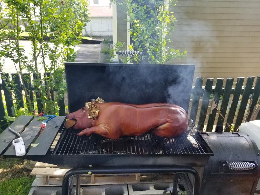 20170528_100902.jpg