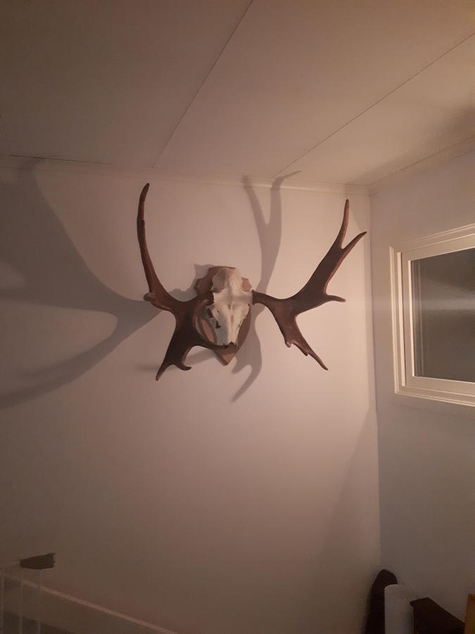 20170823_222101.jpg
