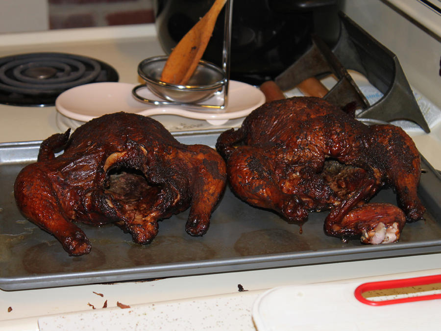 22-Chickens_done-882010.JPG