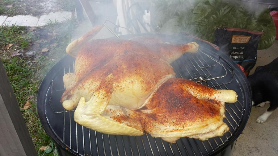 22#turkey.jpg