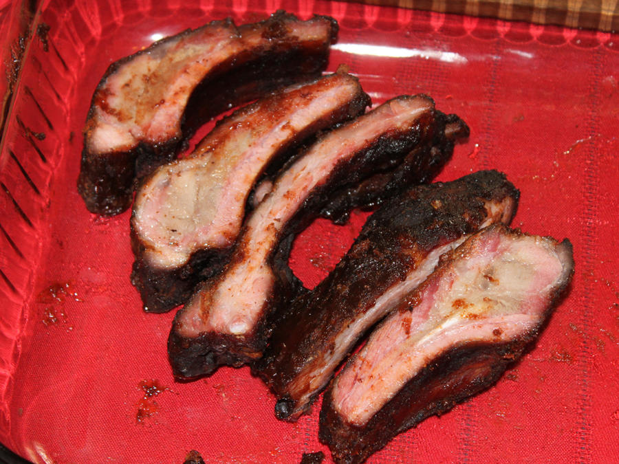 24-Ribs_almost_gone-882010.JPG.JPG