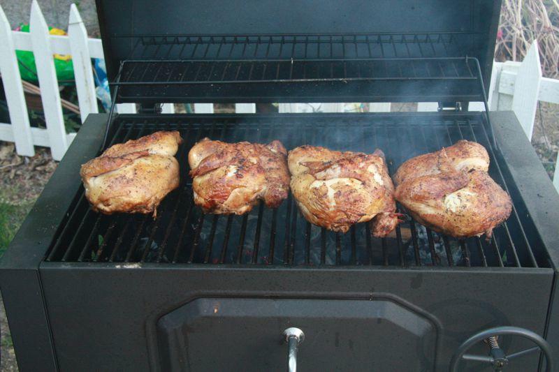 2_chickens_02.jpg