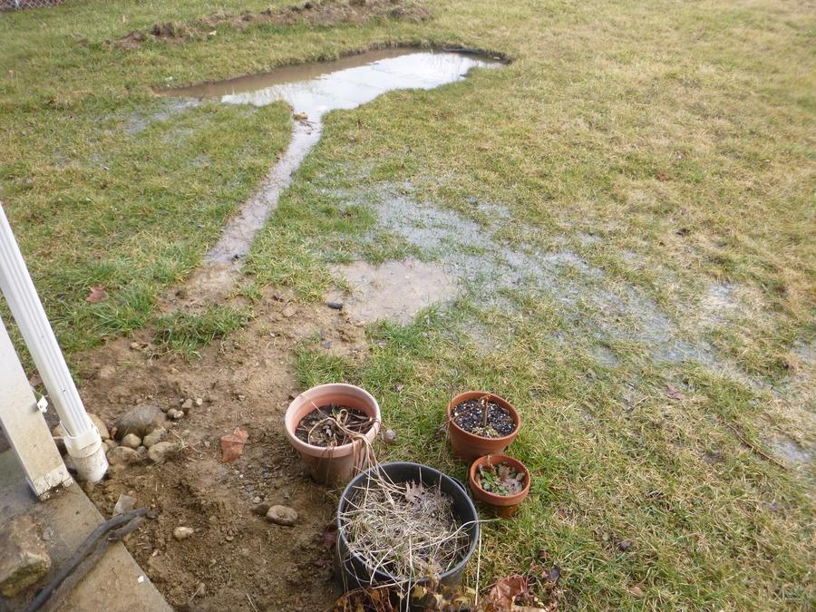 2_inch_rain.jpg