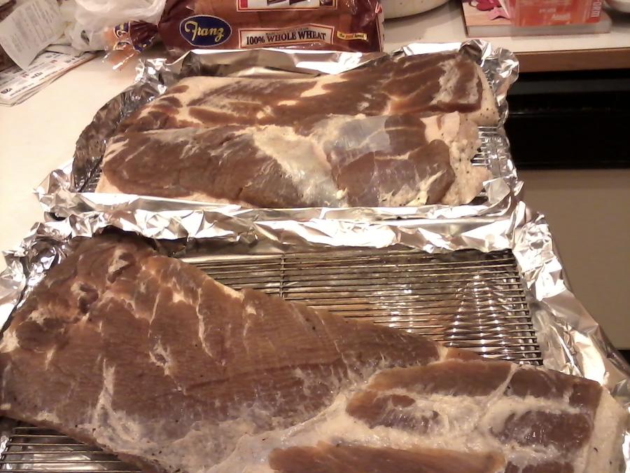 2nd Bacon Smoke 003.jpg