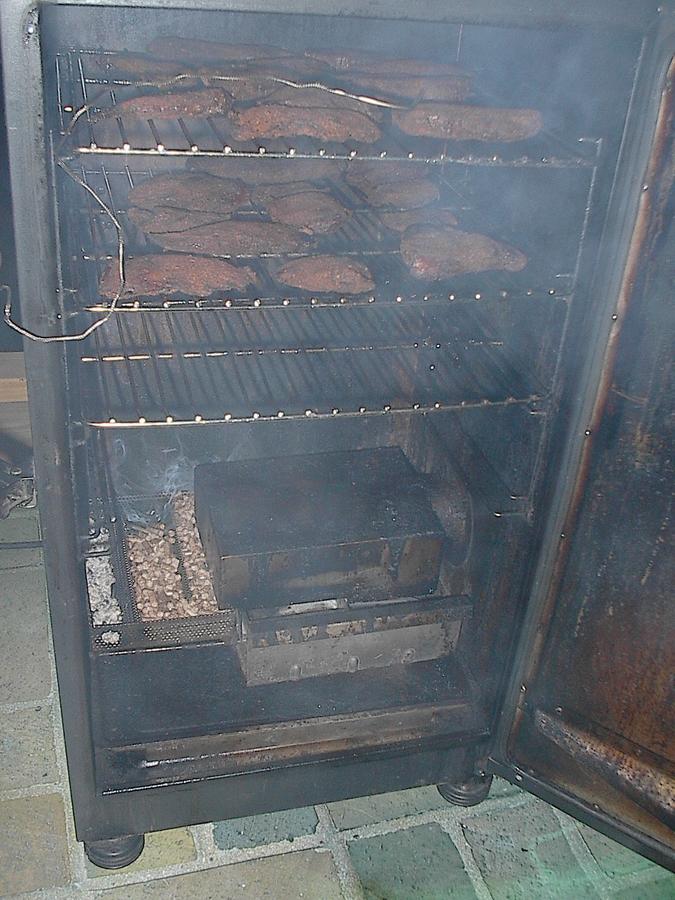 2nd Try Success _ Tasso _3.22.13 003.JPG