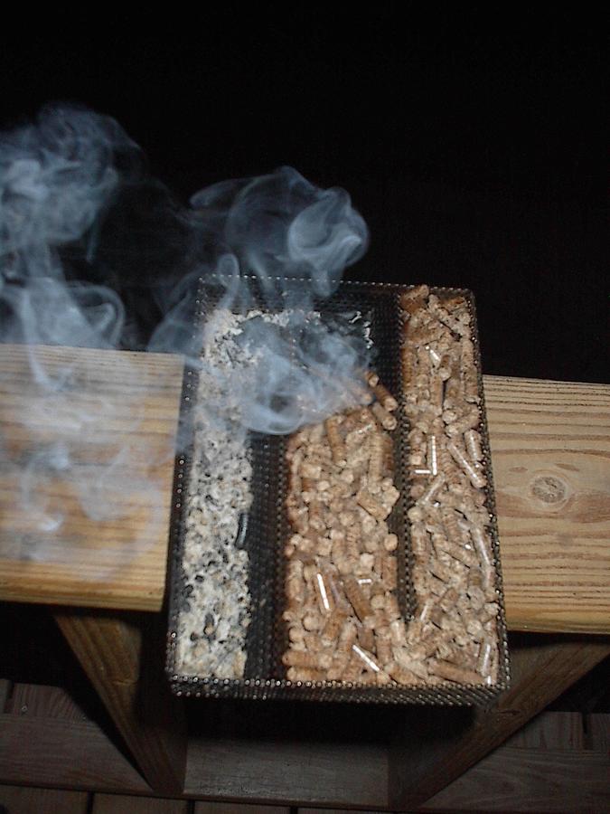 2nd Try Success _ Tasso _3.22.13 005.JPG