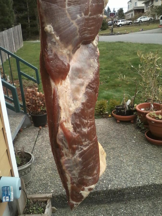2ndbacon.pt2 001.jpg