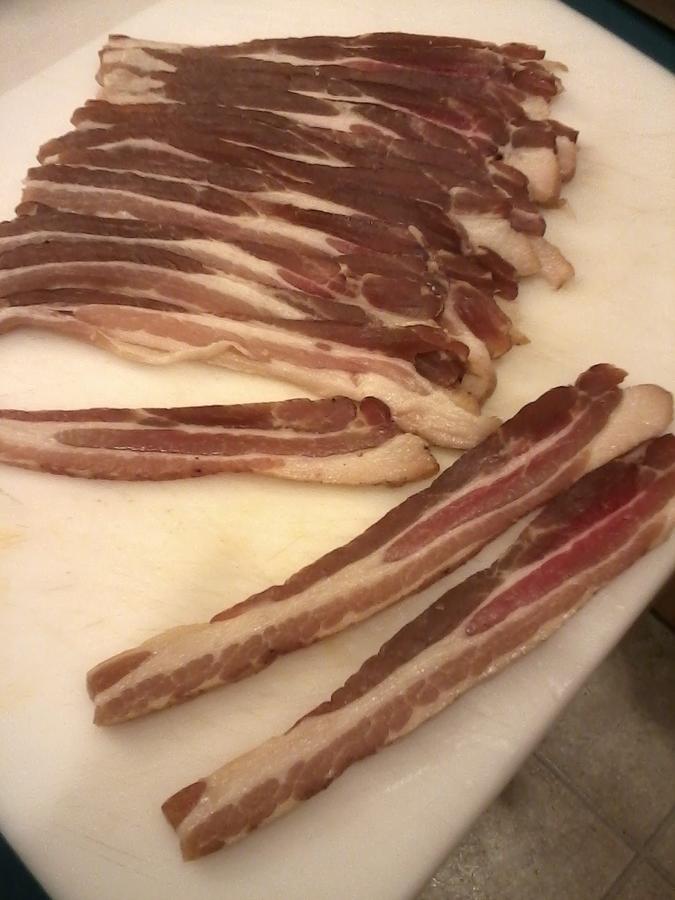 2ndbacon.pt3 003.jpg