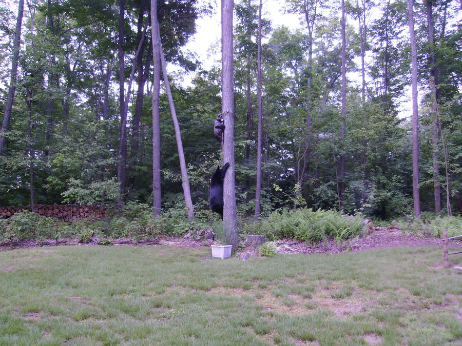 2PICT0278 copy.JPG
