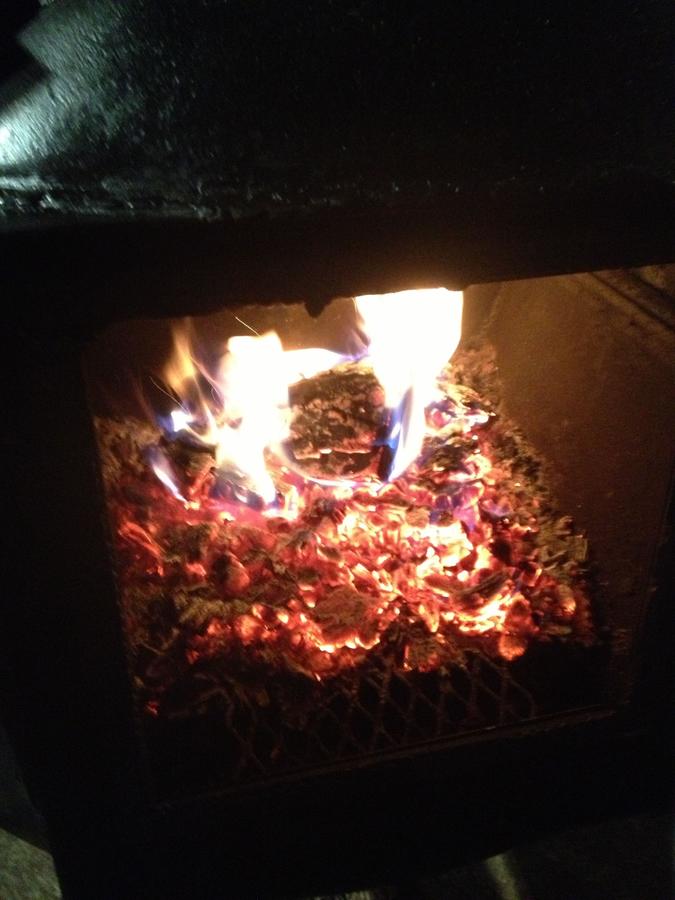 3-1-2013 010.JPG