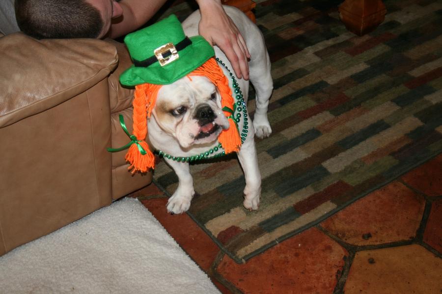 3-16-2012 012.JPG