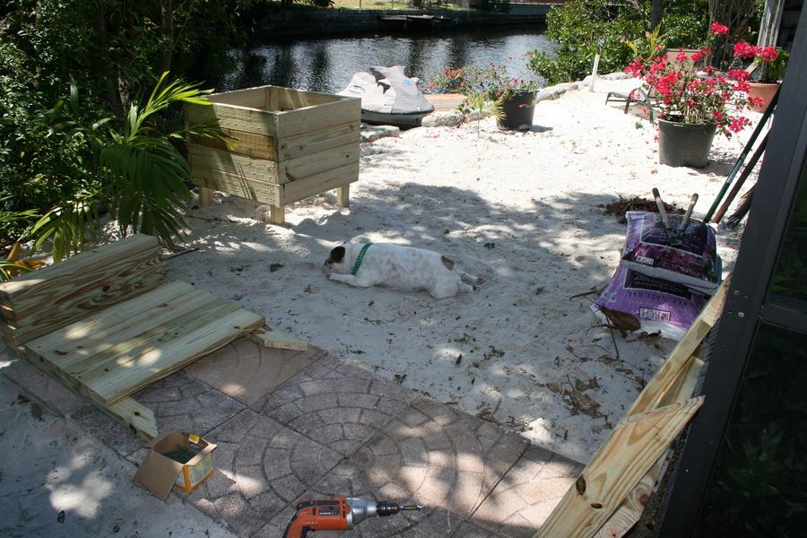 3-16-2012 022.JPG
