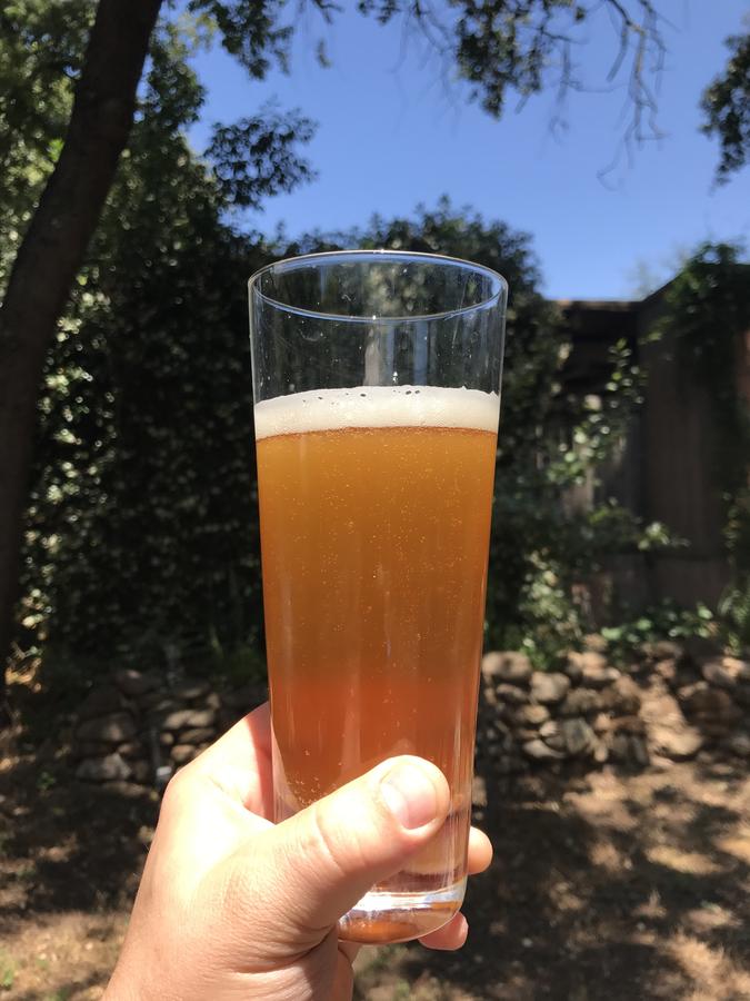 3. Homebrew.JPG