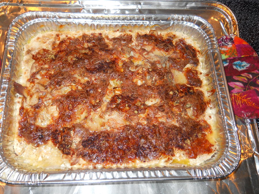 4-23-11 15.JPG