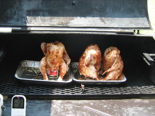 7-14 three chickens 003.JPG