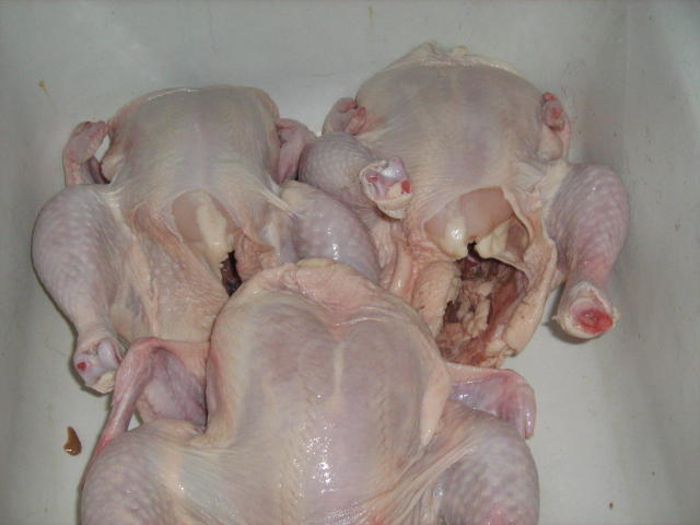 7-14 three chickens 017.JPG